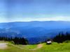 BILD0735_DAP_Realism_a.jpg