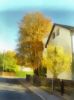 herbst_Realism_a.jpg