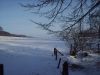 Filename=winter5.jpg
Filesize=61KB
Dimensions=600x450
Date added=Feb 13, 2006 winter5.jpg