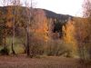 PICT0091.JPG
