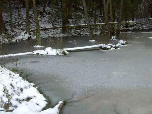 Iglbachquellsee im Winter