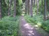 2006-06-10_69-Wandertag.jpg