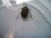 2006-09-26_06_Wanze~0.jpg