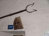 2007-07-10_07_Burghausen.jpg