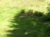 2008-07-29_06_ByWald.jpg