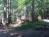2008-07-29_11_ByWald.jpg