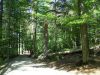 2008-07-29_12_ByWald.jpg