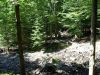Filename=2008-07-29_17_ByWald.jpg
Filesize=168KB
Dimensions=640x480
Date added=Jul 31, 2008 2008-07-29_17_ByWald.jpg