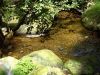 Filename=2008-07-29_27_ByWald.jpg
Filesize=152KB
Dimensions=640x480
Date added=Jul 31, 2008 2008-07-29_27_ByWald.jpg