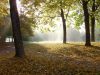 Filename=2008-10-12_03_Herbst.jpg
Filesize=130KB
Dimensions=640x480
Date added=Oct 12, 2008 2008-10-12_03_Herbst.jpg