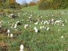 Filename=2008-10-12_27_Herbst.jpg
Filesize=143KB
Dimensions=640x480
Date added=Oct 12, 2008 2008-10-12_27_Herbst.jpg