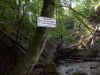 2009-05-03_14_Paehl.jpg