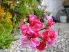 2009-11-13_08_IS12-Test.jpg