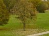 Filename=2010-10-22_09b_Test.jpg
Filesize=90KB
Dimensions=639x481
Date added=Oct 22, 2010 2010-10-22_09b_Test.jpg