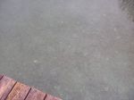 2011-02-19_47.jpg
