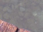 2011-02-19_47b.jpg