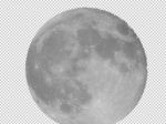 Filename=2011-10-09_01_Mond_04.jpg
Filesize=50KB
Dimensions=640x479
Date added=Nov 11, 2012 2011-10-09_01_Mond_04.jpg