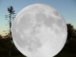 Filename=2011-10-09_01_Mond_06.jpg
Filesize=31KB
Dimensions=640x480
Date added=Nov 11, 2012 2011-10-09_01_Mond_06.jpg