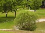 2012-05-31_10a.jpg