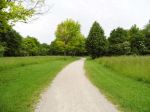 2012-05-31_34.jpg