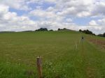 Filename=2012-07-18_030_Steinheim.jpg
Filesize=58KB
Dimensions=640x480
Date added=Aug 26, 2012 2012-07-18_030_Steinheim.jpg