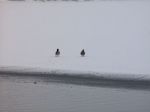 Filename=2013-01-25_15_Eching.jpg
Filesize=28KB
Dimensions=640x480
Date added=Jan 25, 2013 2013-01-25_15_Eching.jpg