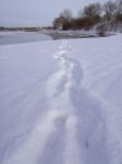 Filename=2013-01-27_20_Eching.jpg
Filesize=40KB
Dimensions=480x640
Date added=Jan 27, 2013 2013-01-27_20_Eching.jpg