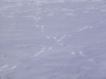 Filename=2013-01-27_43_Eching.jpg
Filesize=26KB
Dimensions=640x480
Date added=Jan 27, 2013 2013-01-27_43_Eching.jpg