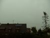 BILD0919.jpg