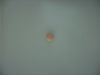 Filename=BOX_X6-2b.jpg
Filesize=25KB
Dimensions=640x480
Date added=Nov 14, 2006 BOX_X6-2b.jpg