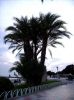 PICT0003-3.jpg