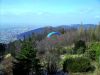 PICT0016.jpg