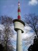 PICT0032.jpg