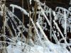 BILD1657.jpg