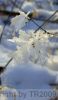 BILD1663.jpg