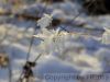 BILD1664.jpg