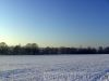 BILD1671.jpg