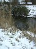 BILD2370.JPG