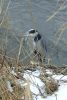 BILD2371.JPG
