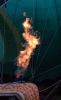 Filename=ball5.jpg
Filesize=38KB
Dimensions=391x640
Date added=Sep 20, 2008 ball5.jpg