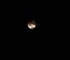 mond.jpg