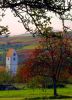Filename=black_forrest_autumn.jpg
Filesize=187KB
Dimensions=400x550
Date added=Oct 23, 2006 black_forrest_autumn.jpg