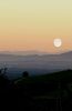 Filename=moon4~0.jpg
Filesize=17KB
Dimensions=422x640
Date added=Aug 09, 2006 moon4~0.jpg
