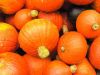 Filename=heinzi_farbe_02.jpg
Filesize=46KB
Dimensions=640x480
Date added=Oct 22, 2007 heinzi_farbe_02.jpg