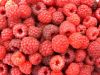 himbeeren1.jpg