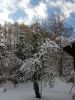 Bild_603_-_s.jpg