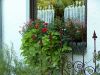 Filename=Fenster.jpg
Filesize=179KB
Dimensions=640x480
Date added=Sep 11, 2007 Fenster.jpg