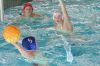 Filename=wasserball_rif_roli_szene.jpg
Filesize=65KB
Dimensions=640x428
Date added=Dec 04, 2007 wasserball_rif_roli_szene.jpg