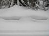 Filename=Schneemonster.jpg
Filesize=41KB
Dimensions=640x480
Date added=Dec 19, 2008 Schneemonster.jpg
