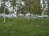 IMAG0035.JPG